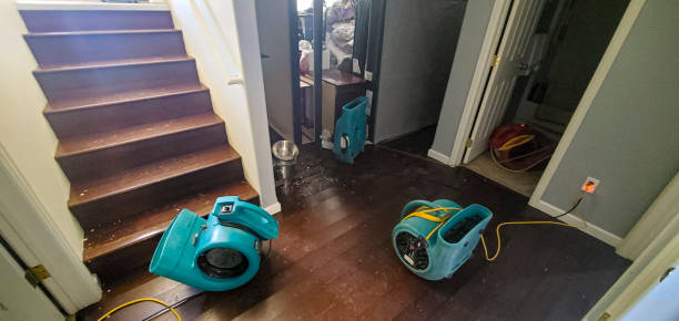 Professional Water damage restoration in NY