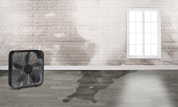 Best Basement water damage restoration  in White Plains, NY