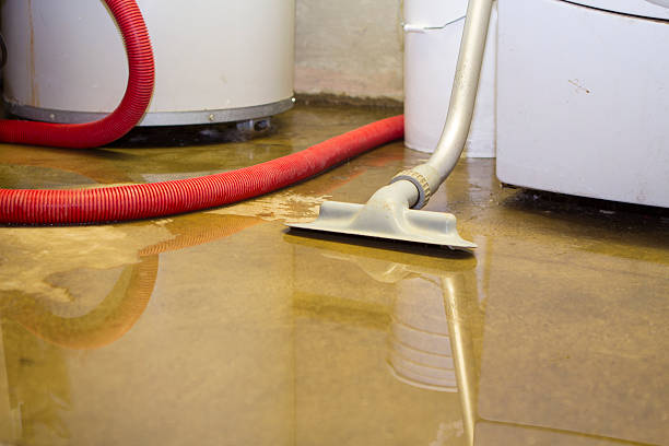 Water damage restoration mold remediation in NY