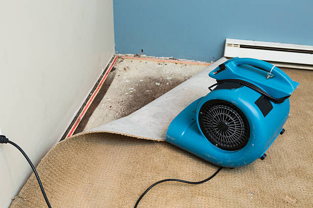 Best Residential water damage restoration  in White Plains, NY